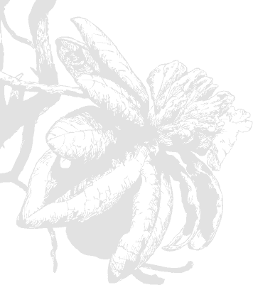 login background